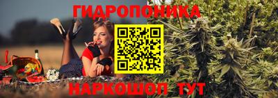 ГАЛЛЮЦИНОГЕННЫЕ ГРИБЫ Тулун