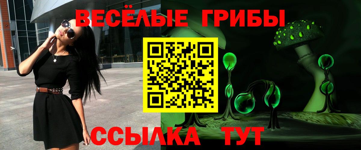 Нерюнгри  закладки  Псилоцибиновые грибы Psilocybe  Вход с VPN  Галлюциногенные грибы Magic Shrooms 