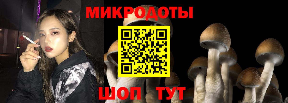 Галлюциногенные грибы Magic Shrooms Нерюнгри